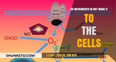 Antioxidants in Diet: Do They Reach Cells?