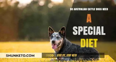 Australian Cattle Dogs: Dietary Needs and Special Considerations