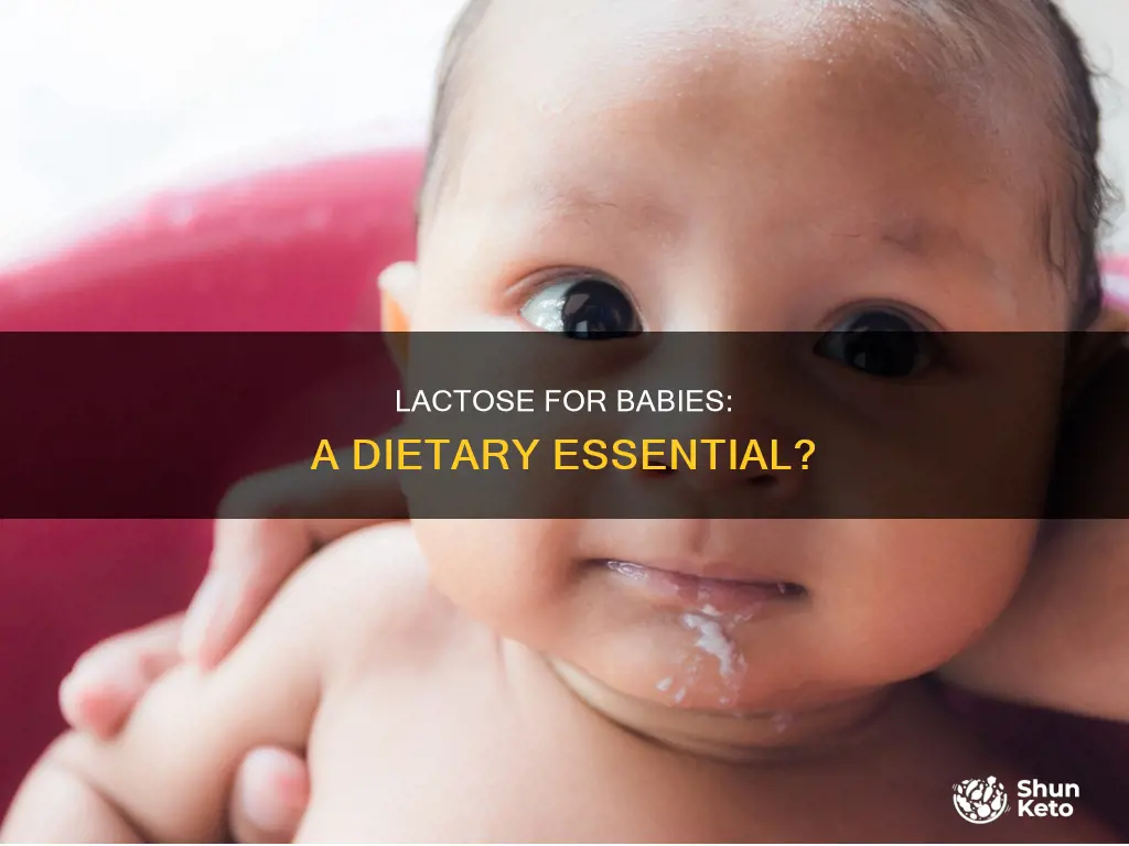 do babies need lactose in their diet