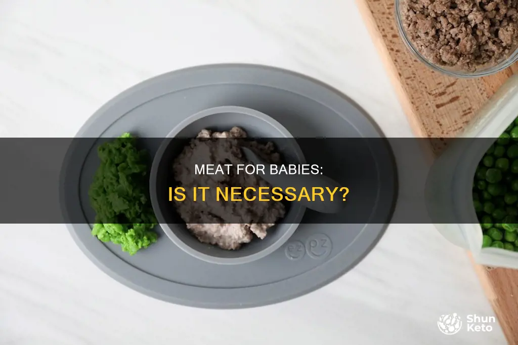 do babies need meat in their diet