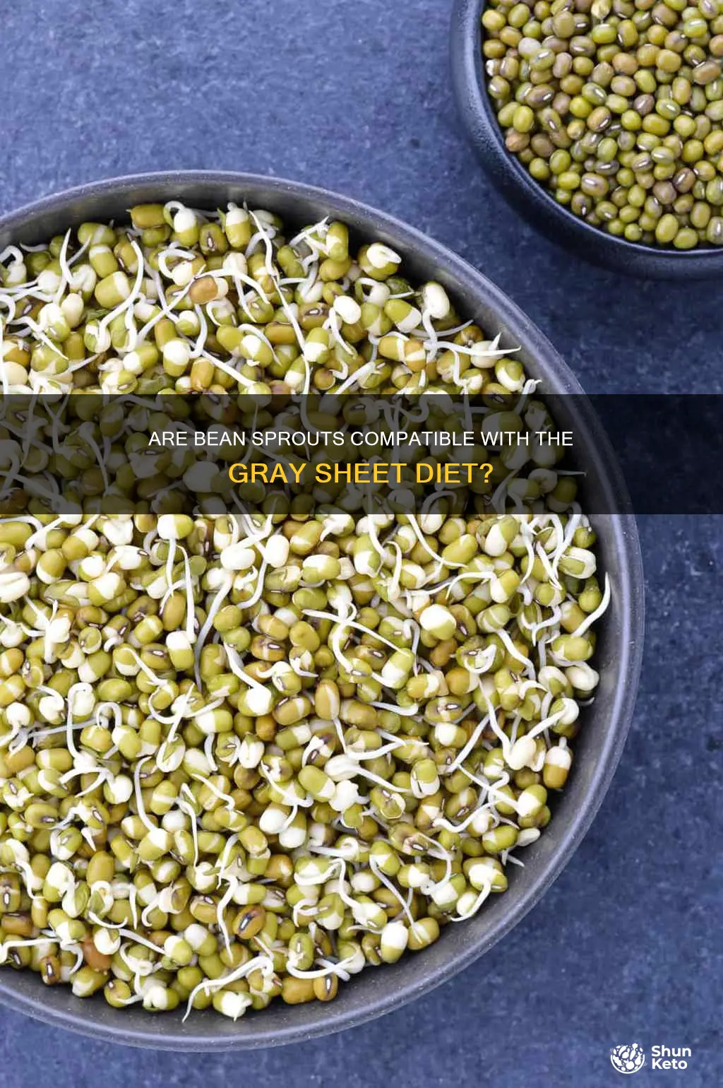 do bean sprouts allowed on the graysheet diet