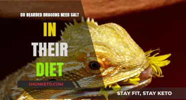 Bearded Dragons: Salt Diet Essentials