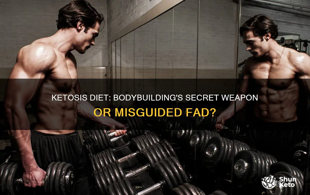 do bodybuilders use ketosis diet