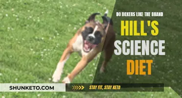 Unveiling the Truth: Do Boxers Prefer Hill's Science Diet?