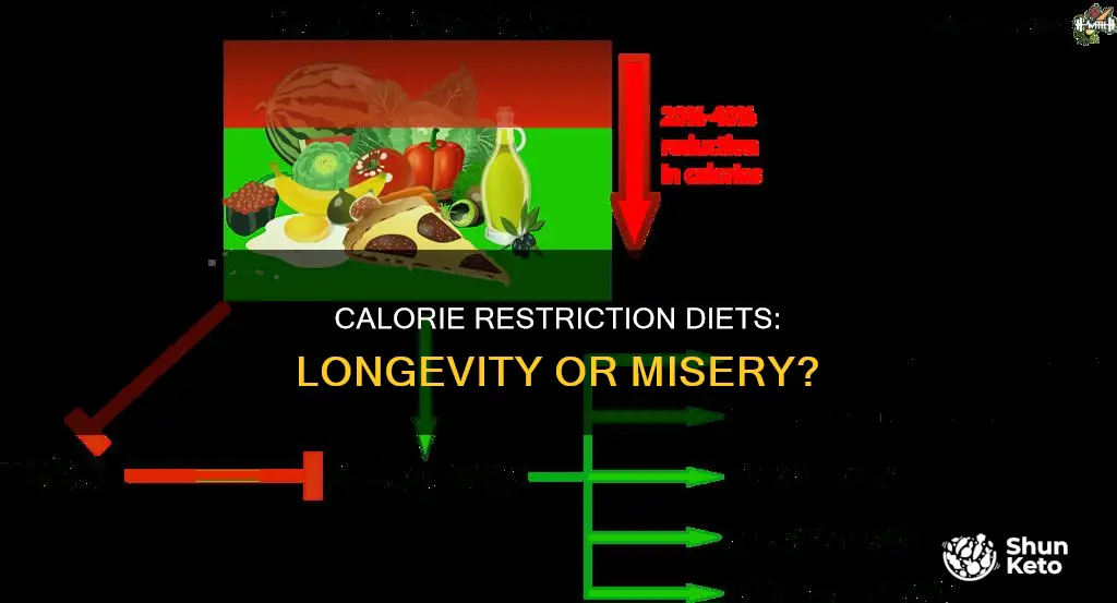 do calorie restriction diet make you live longer