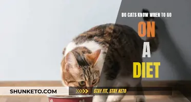 Cats' Diet: Instinctual or Learned Behavior?