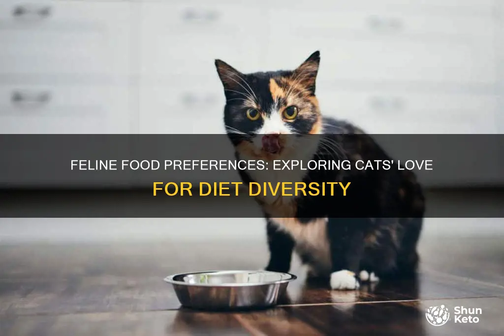 do cats like variety in their diet