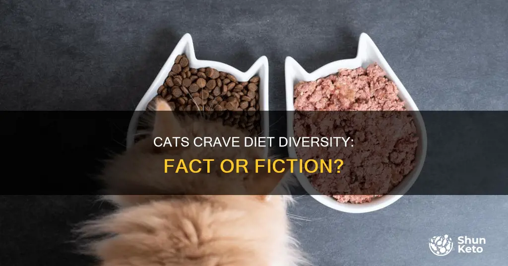 do cats like variety in their diet