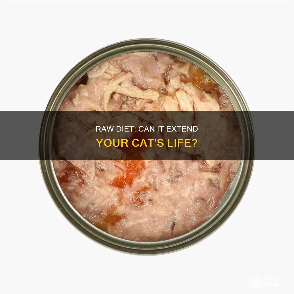 do cats live longer on raw diet
