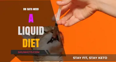 Liquid Diets for Cats: Are They Necessary?
