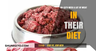 Meat in a Cat's Diet: How Much is Needed?