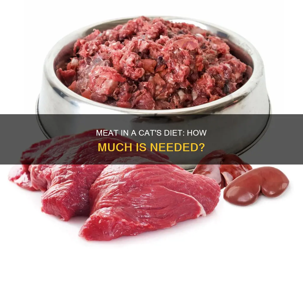 do cats need a lot of meat in their diet