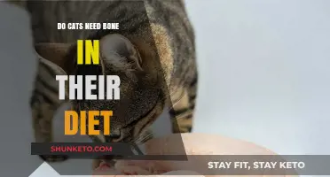 Do Bones Belong in Cats' Diets?
