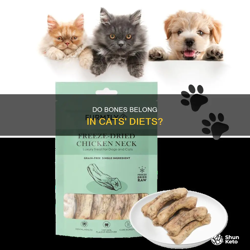 do cats need bone in their diet