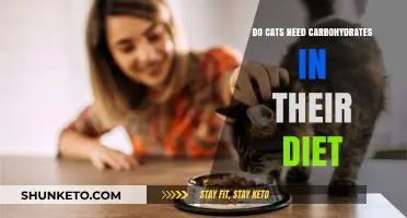 Carbs for Cats: Are They Necessary?
