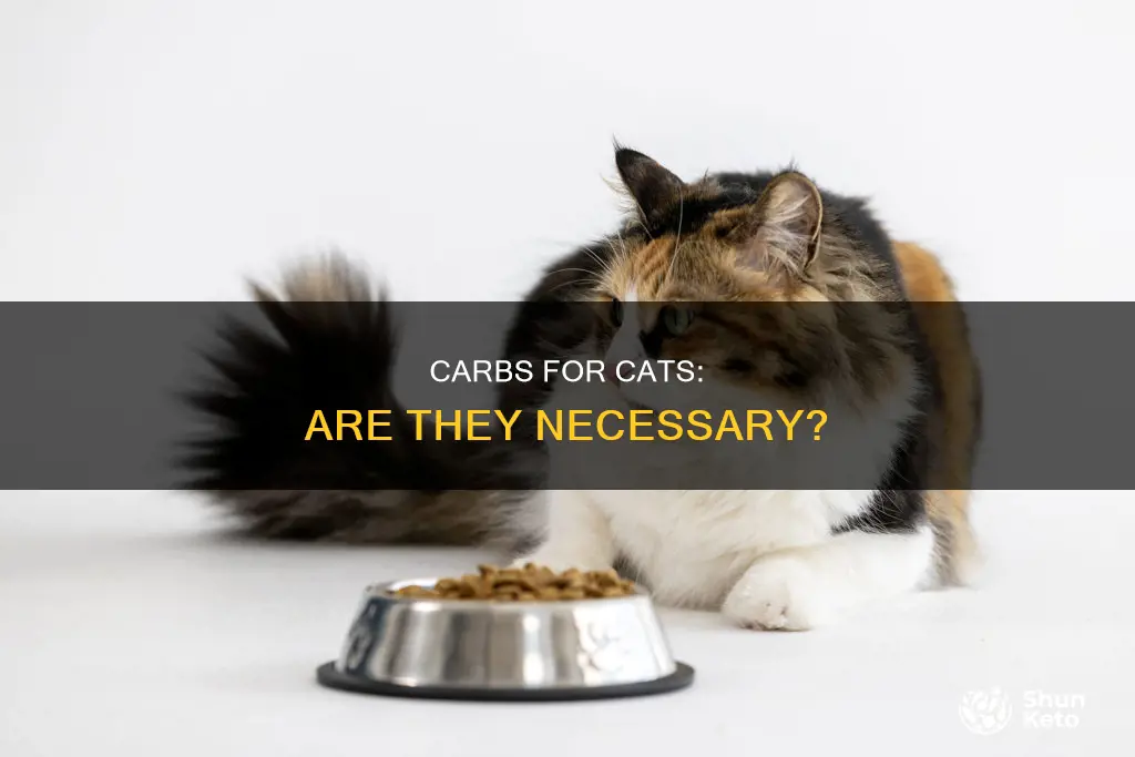 do cats need carbohydrates in their diet