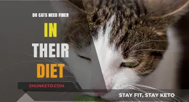 Fiber for Cats: What's the Deal?