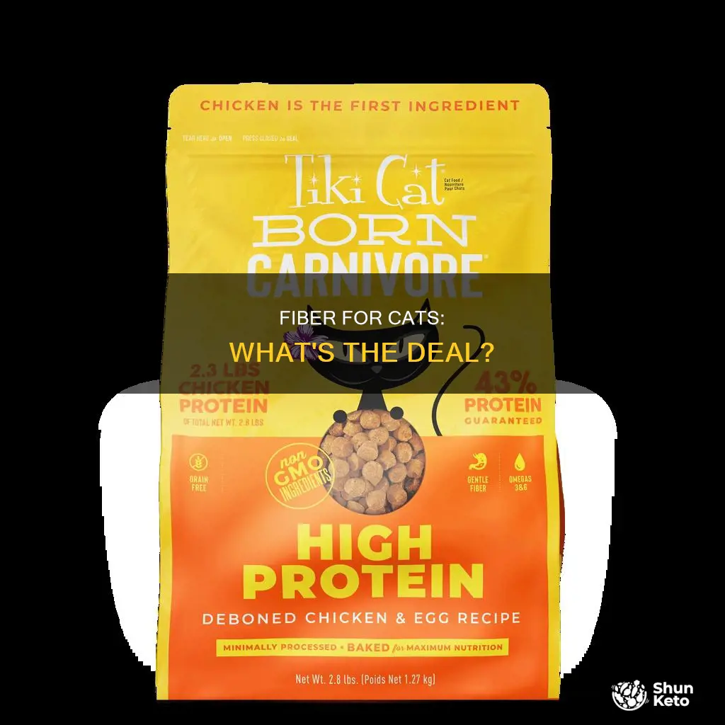 do cats need fiber in their diet