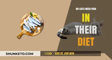 Fish for Cats: Essential or Unnecessary?