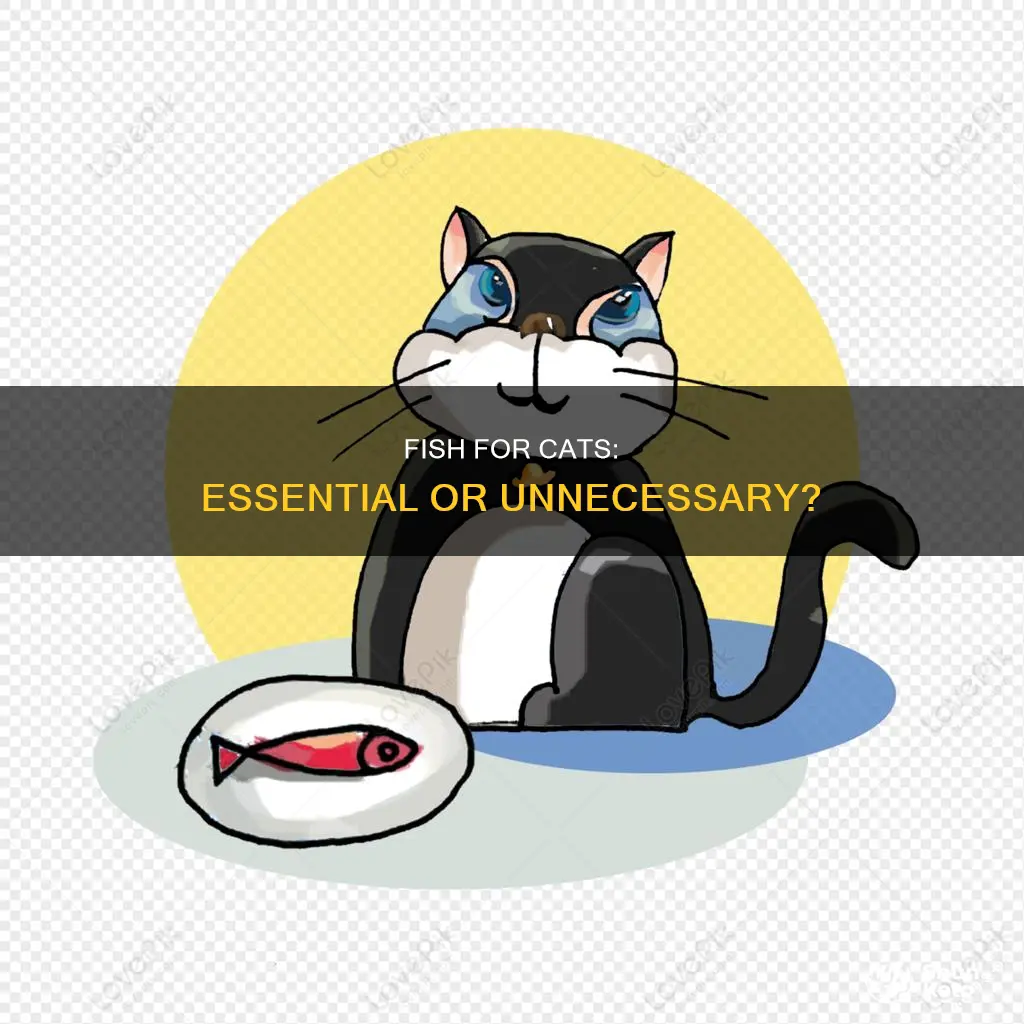 do cats need fish in their diet