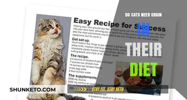 Cats and Grains: A Healthy Diet?