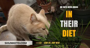 Cats and Grass: A Healthy Diet?