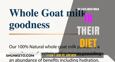 Do Cats Need Milk? Understanding Feline Diet Essentials