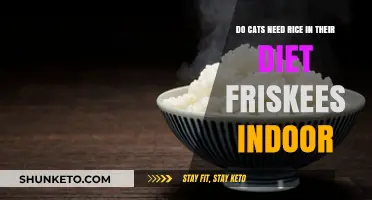 Rice for Indoor Cats: Do They Need It?