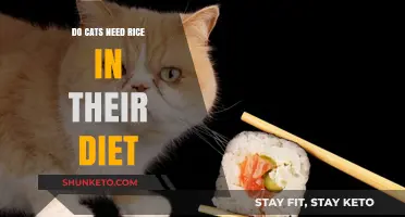 Rice for Cats: A Healthy Diet Addition?