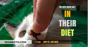 Salt in Cat Diet: Is It Necessary?