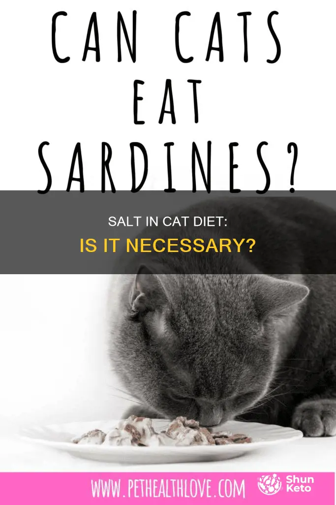 do cats need salt in their diet