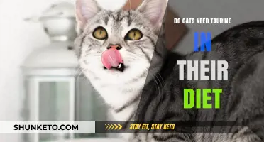 Why Taurine is Essential for Cats' Health