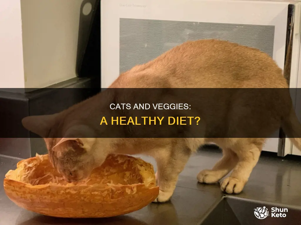 do cats need vegetables in their diet