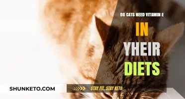 Vitamin E for Cats: What You Need to Know