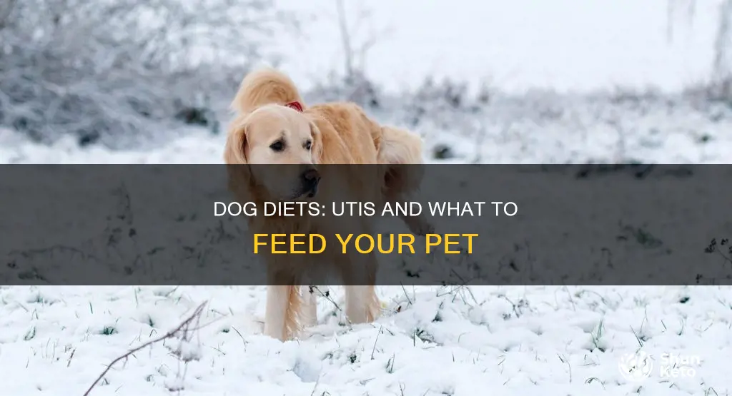 do certain diet