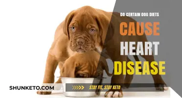 Dog Diets and Heart Disease: What's the Link?