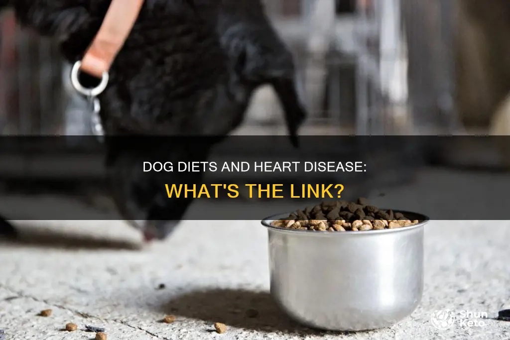 do certain dog diets cause heart disease