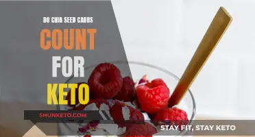 Chia Seeds and Keto: Counting Carb Intake?