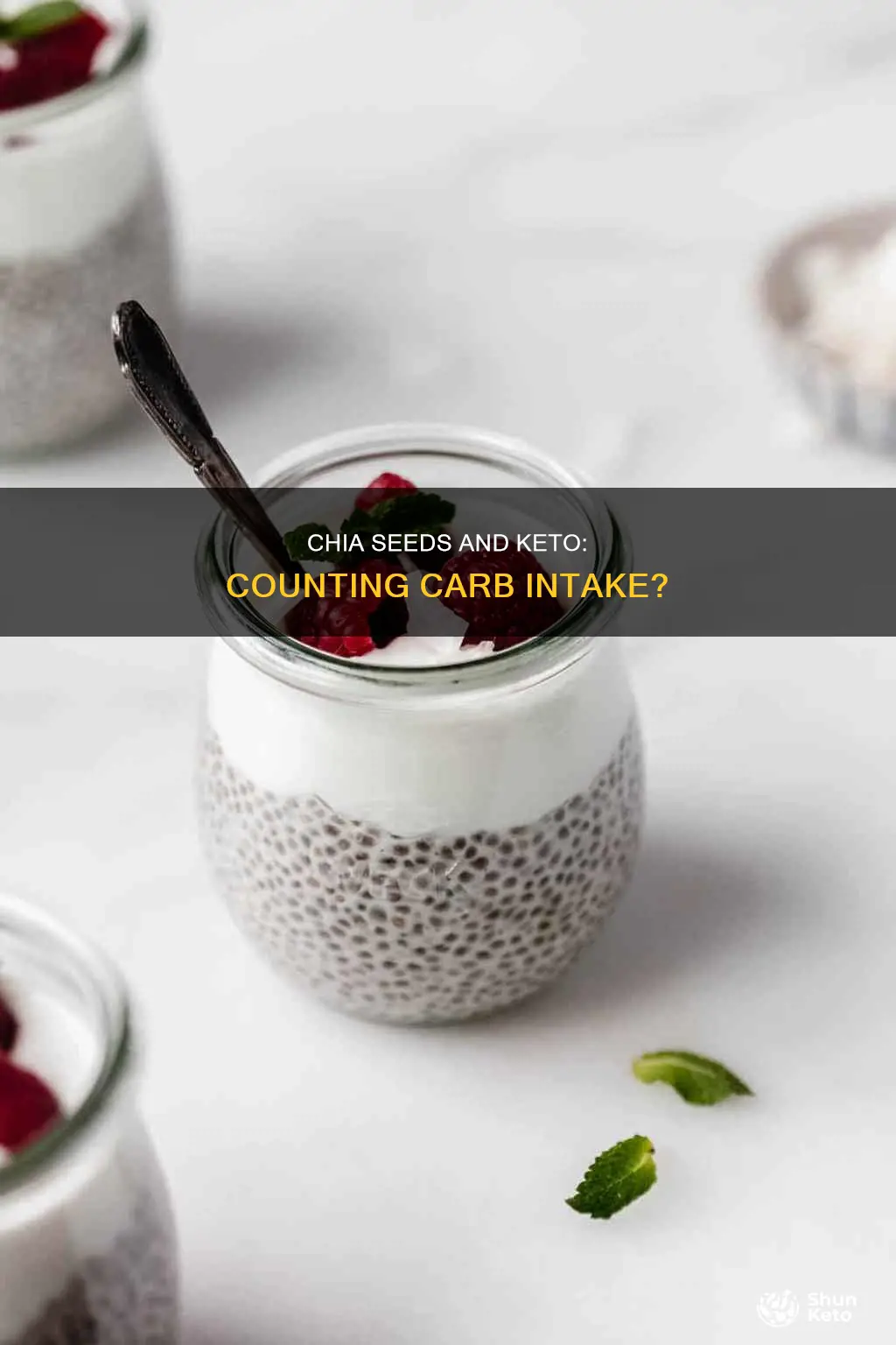 do chia seed carbs count for keto