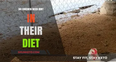 The Dirt on Chicken Diets: Do They Need It?