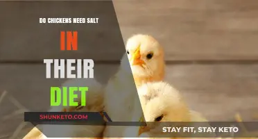 Salt for Chickens: What's the Deal?