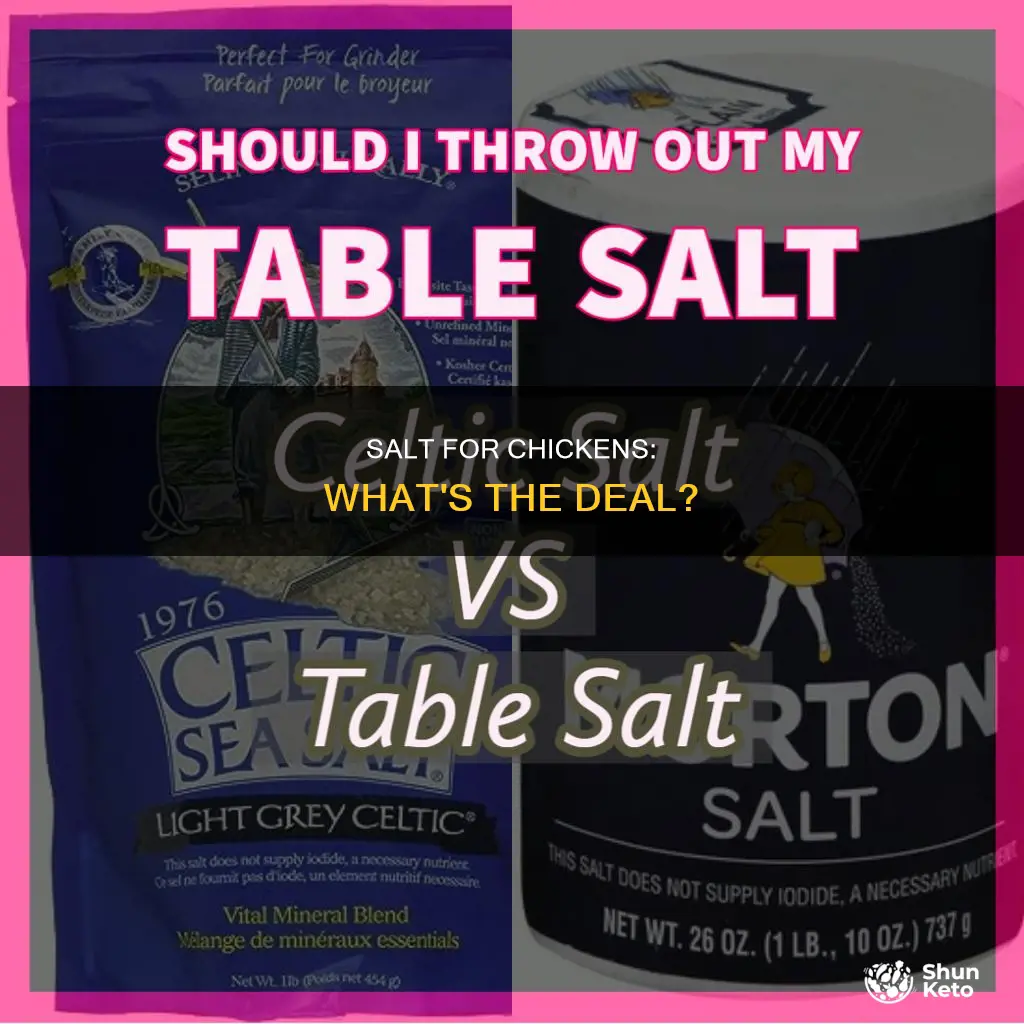 do chickens need salt in their diet