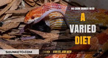 Corn Snakes: A Varied Diet, Necessary?