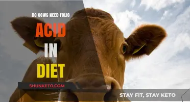 Folic Acid: A Cow's Dietary Essential