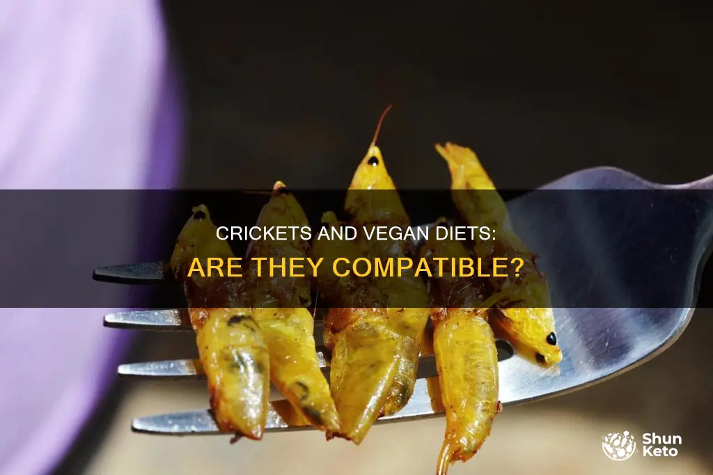 do crickets fit in the vegan diet