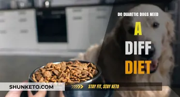 Managing Diabetes in Dogs: Diet and Care