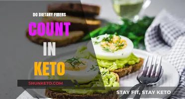 Dietary Fibers and Keto: Do They Fit in Your Low-Carb Plan?