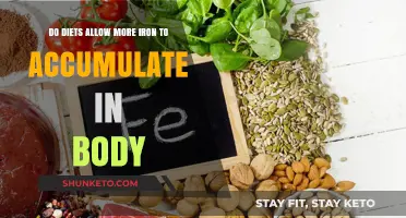 Iron-Rich Diets: Do They Boost Body Iron?