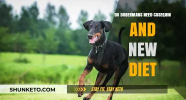 Dobermans: Cosequin and Dietary Changes for Joint Health