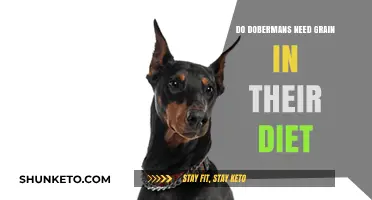 Dobermans: Grain-Free Diet, Good or Bad?